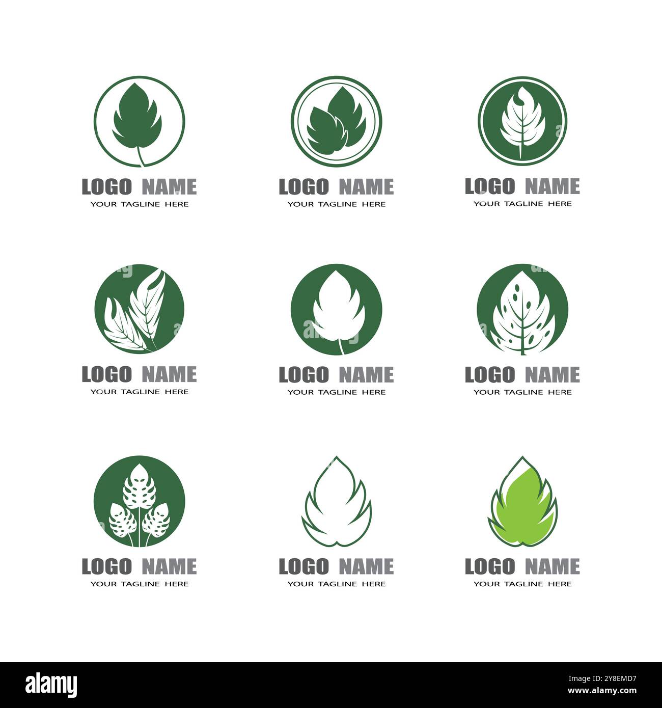 Monstera leaf logo vector design Stock Vector