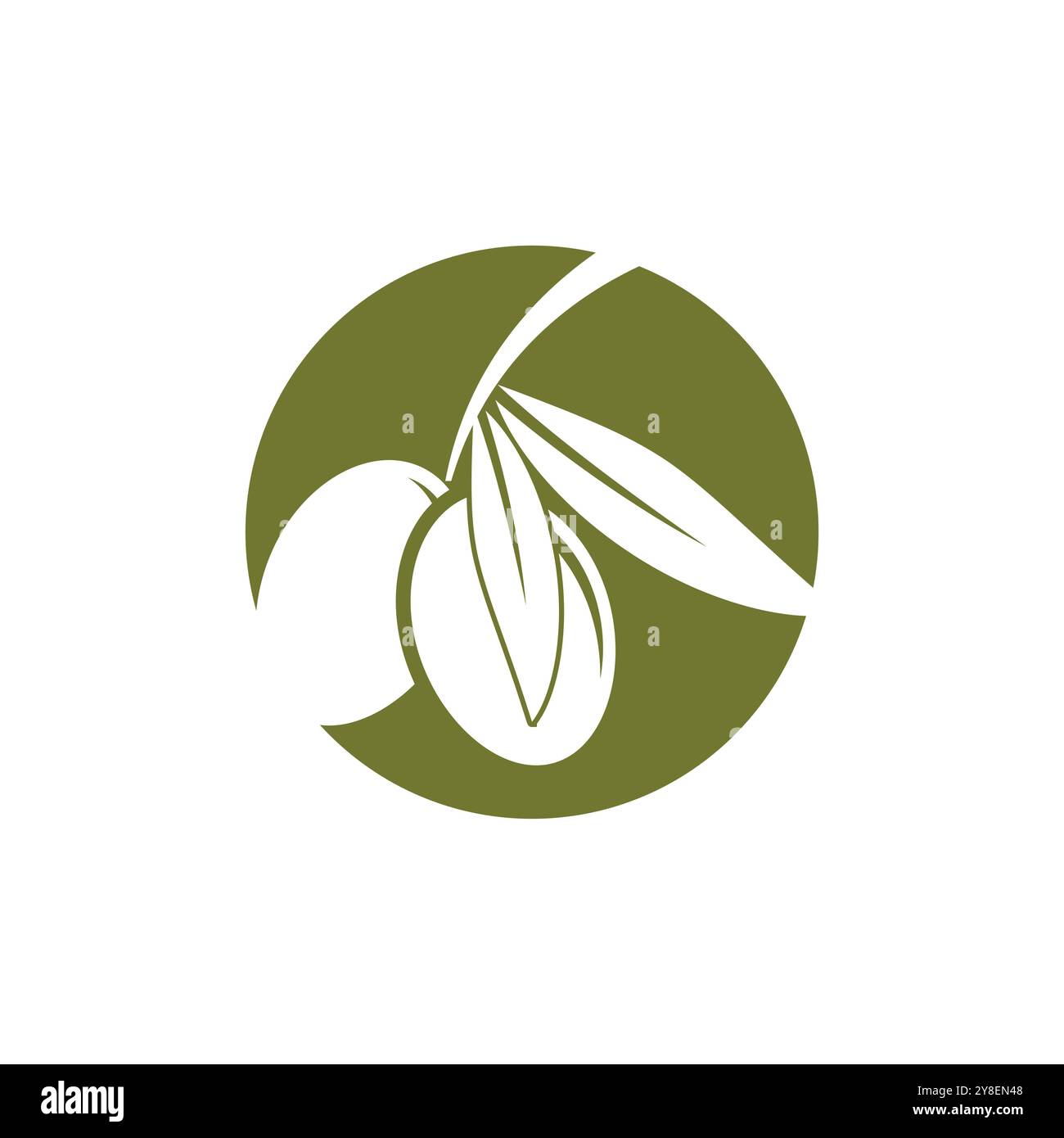 Olive logo vector template symbol element nature Stock Vector