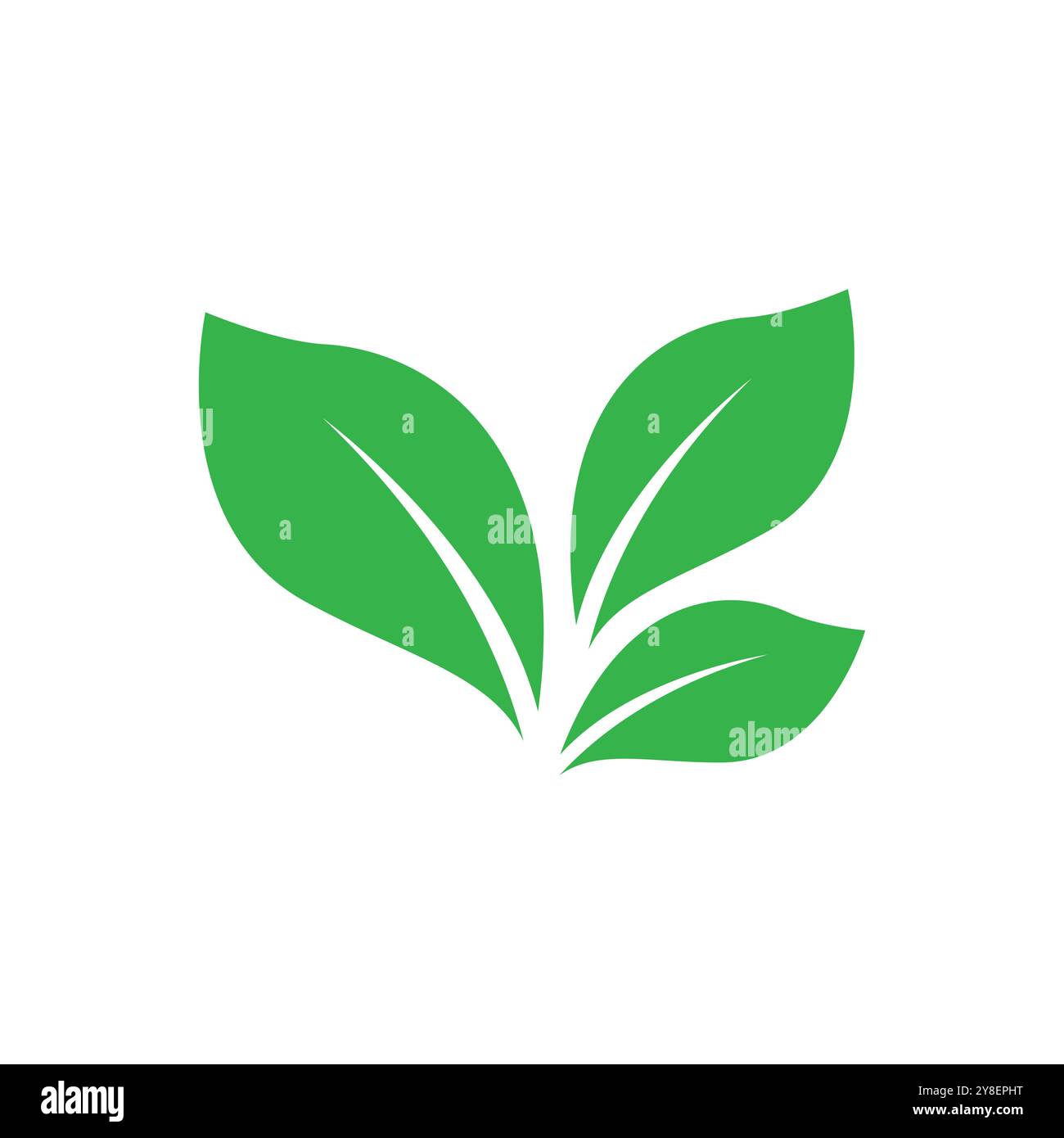 Green leaf illustration nature logo and symbol design Stock Vector ...