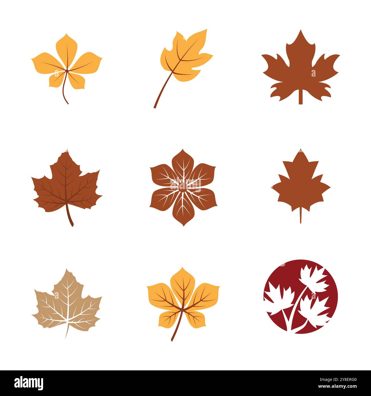 Maple leaf logo hi-res stock photography and images - Alamy