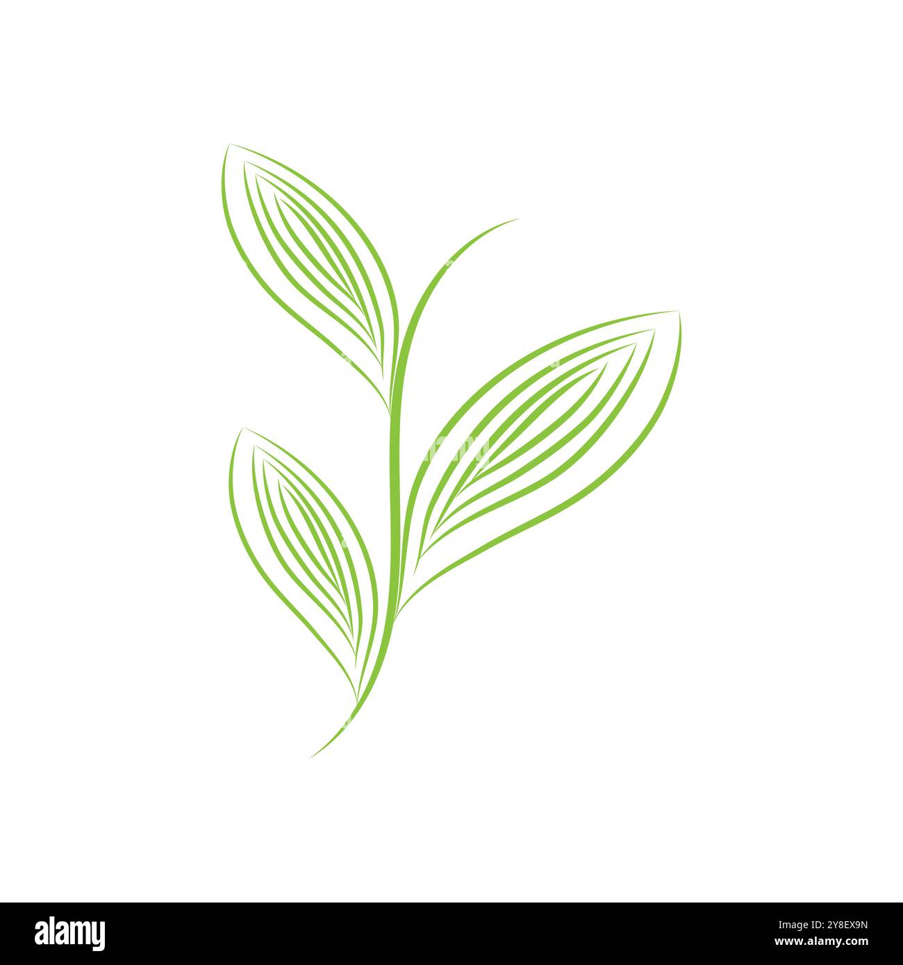 Leaf palm logo vector template symbol and design Stock Vector