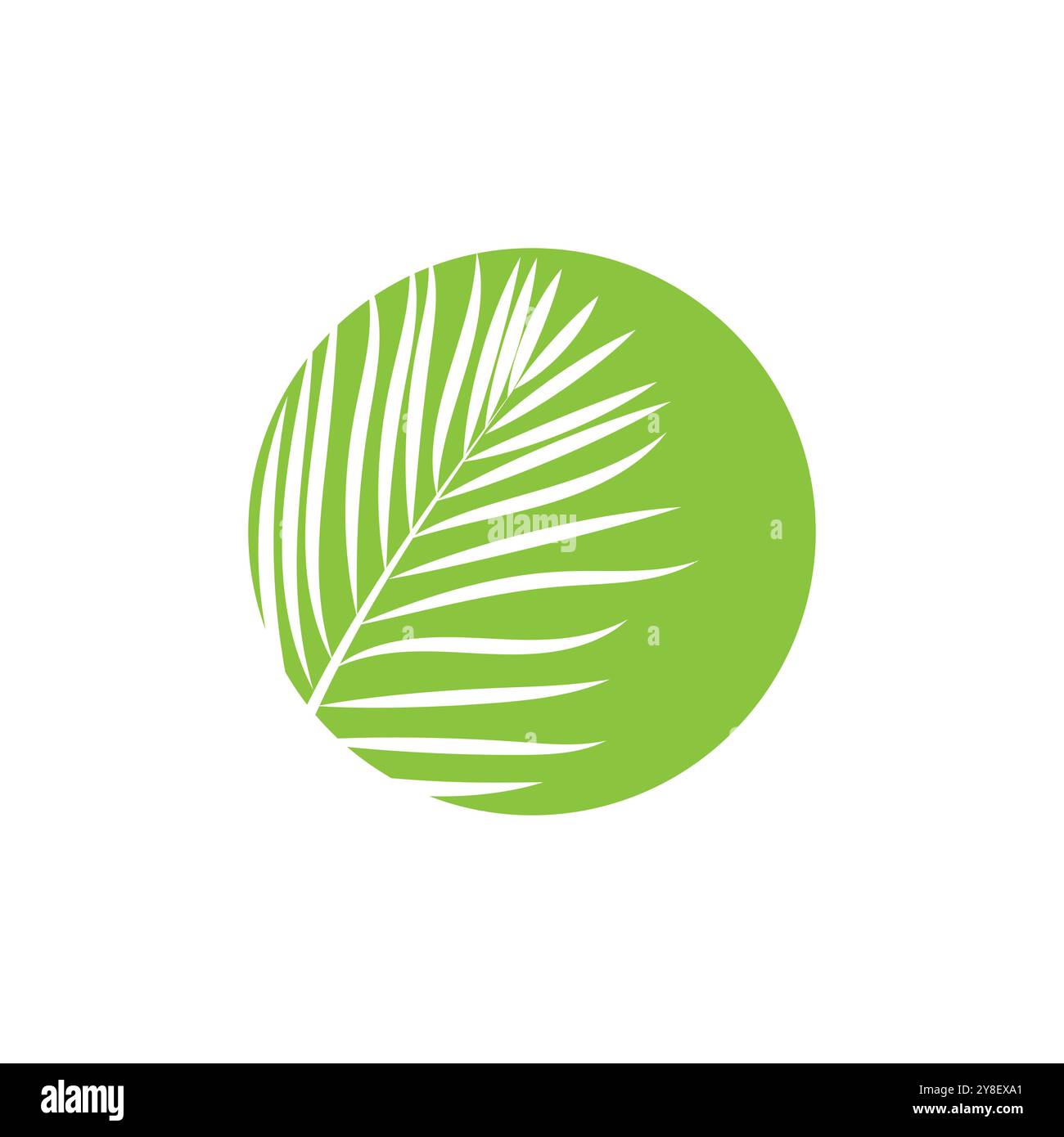 Leaf palm logo vector template symbol and design Stock Vector