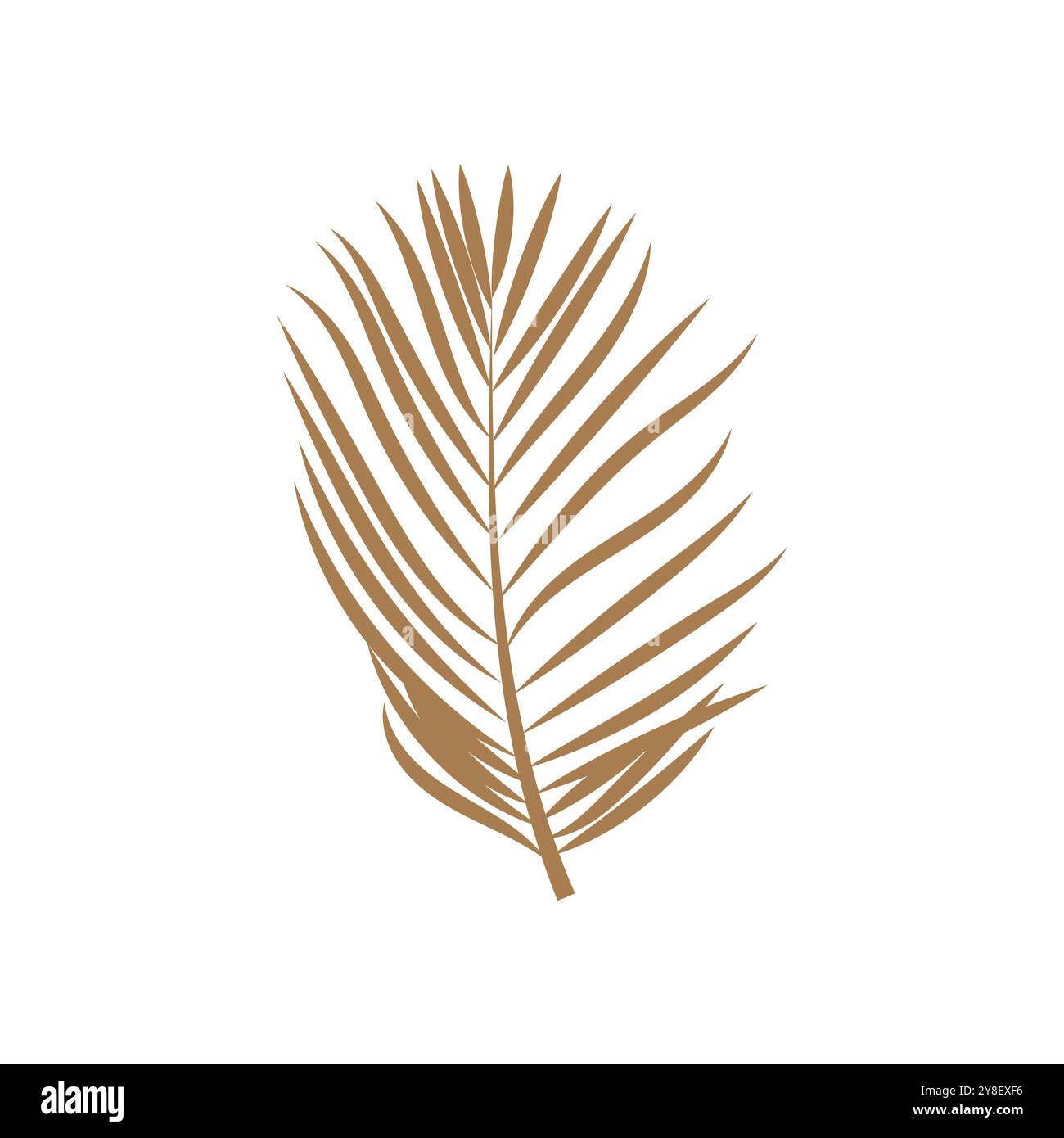 Leaf palm logo vector template symbol and design Stock Vector