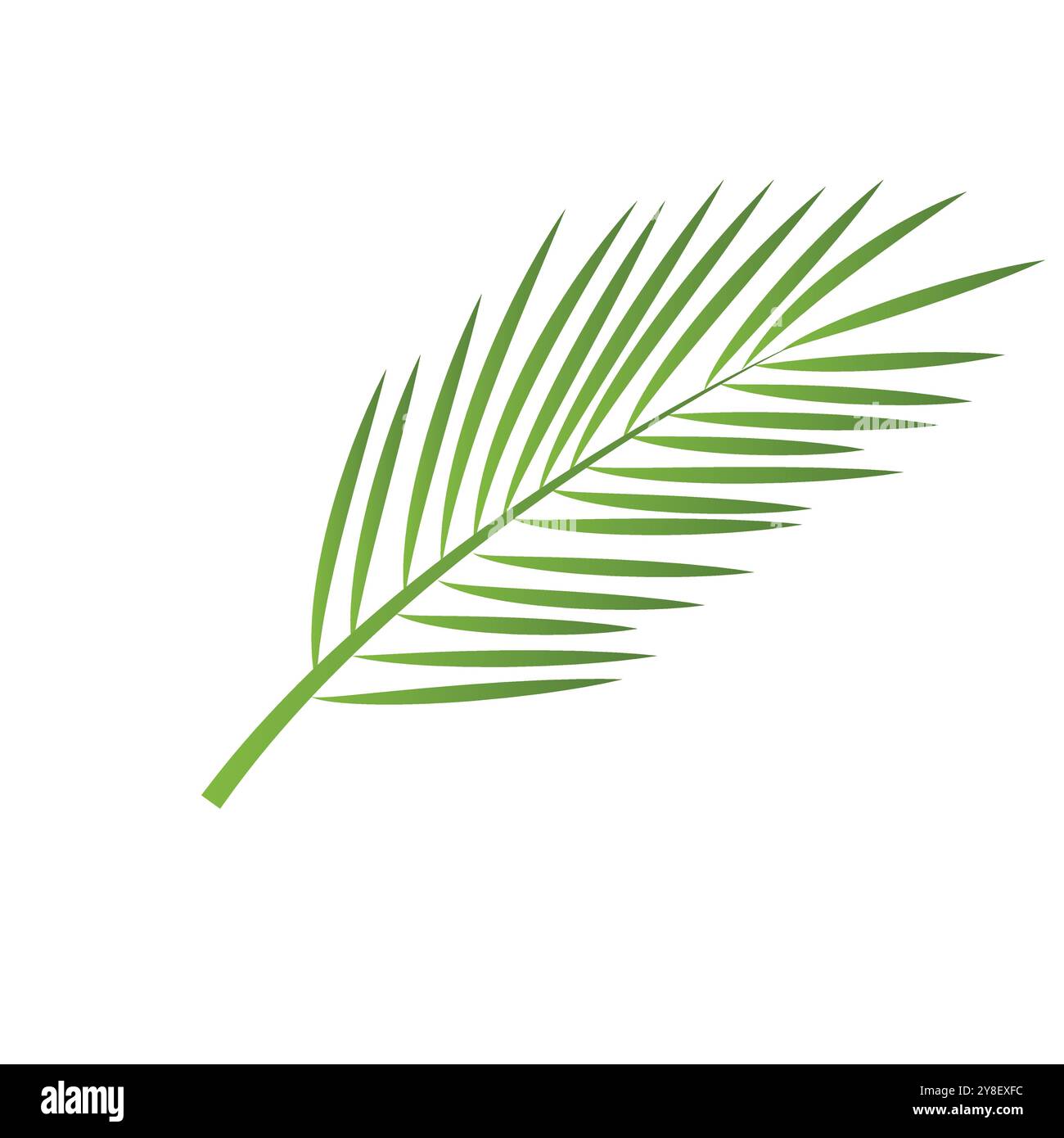 Leaf palm logo vector template symbol and design Stock Vector