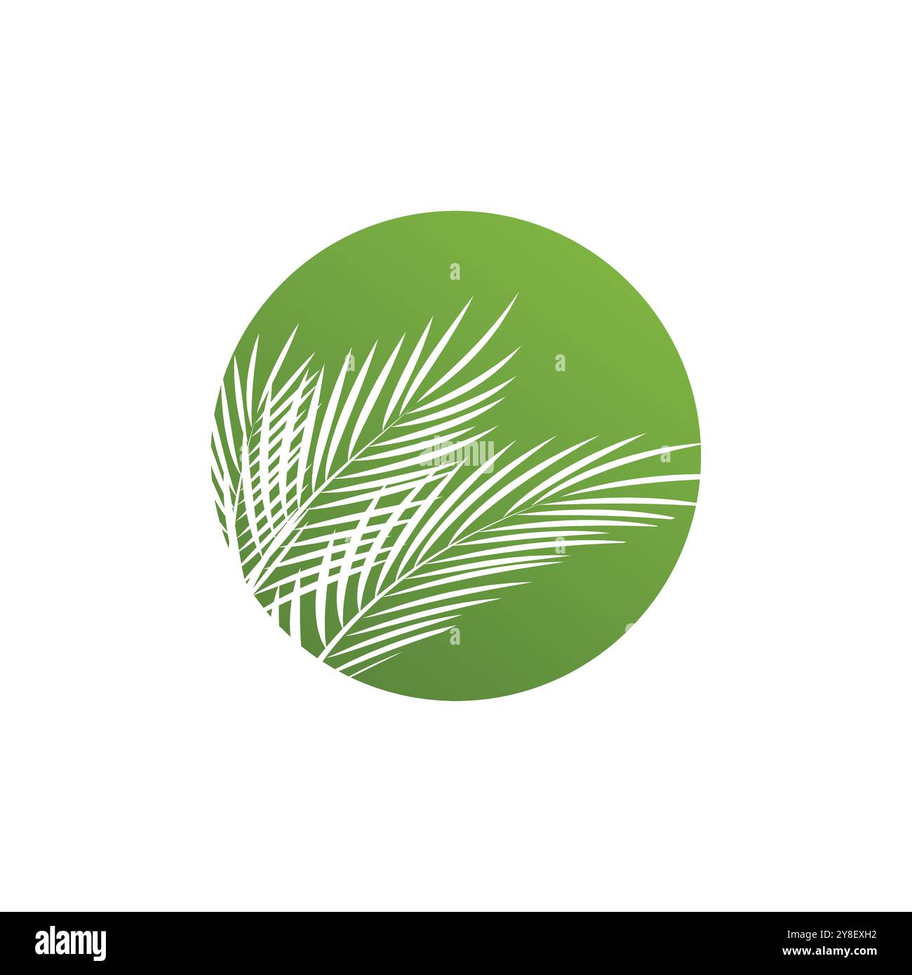 Leaf palm logo vector template symbol and design Stock Vector