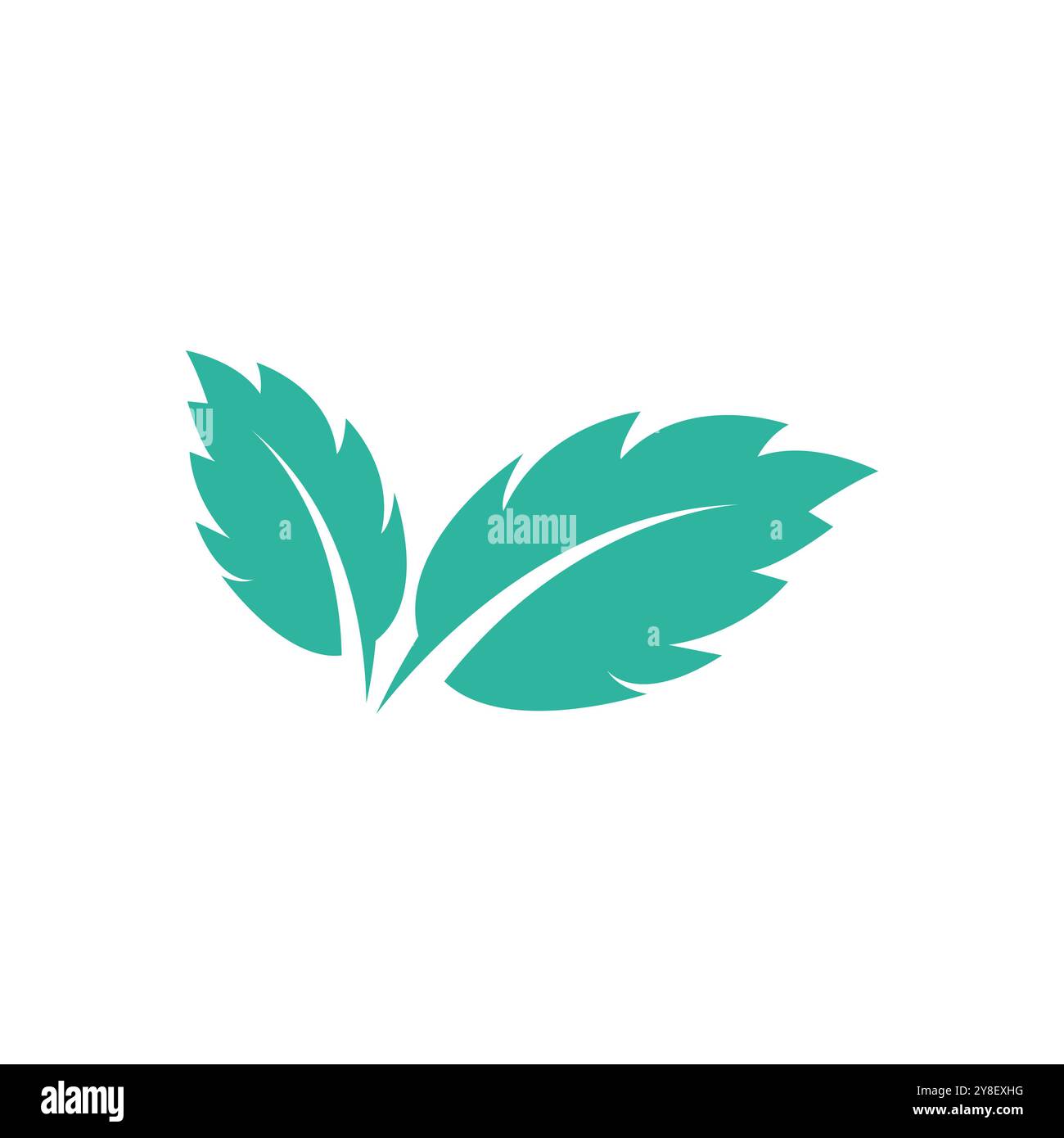 Natural leaf mint logo vector template symbol design Stock Vector Image ...