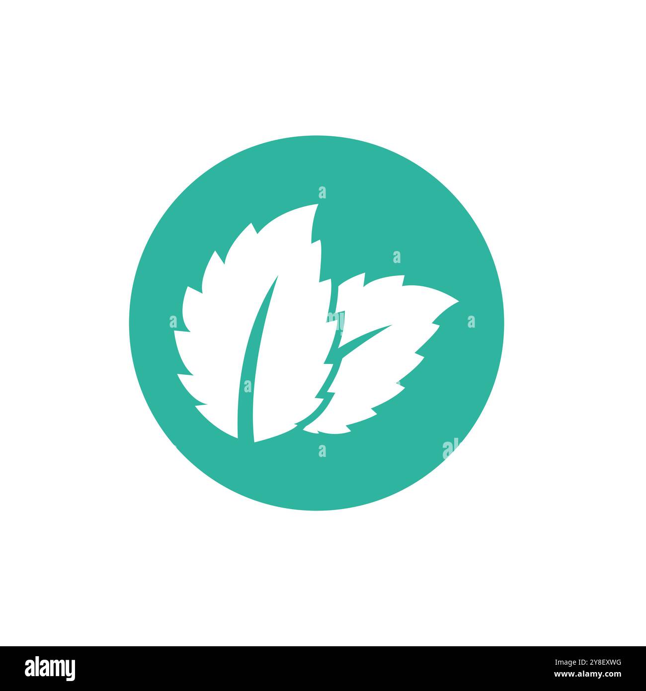 Natural leaf mint logo vector template symbol design Stock Vector Image ...