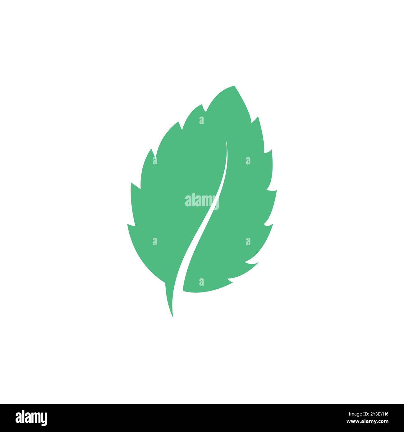 Natural leaf mint logo vector template symbol design Stock Vector Image ...