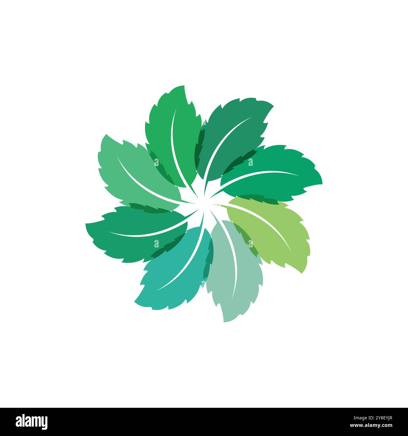 Natural leaf mint logo vector template symbol design Stock Vector Image ...
