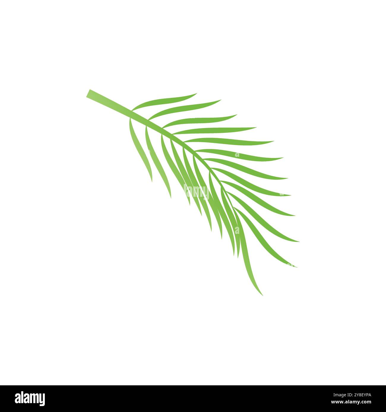 Leaf palm logo vector template symbol and design Stock Vector