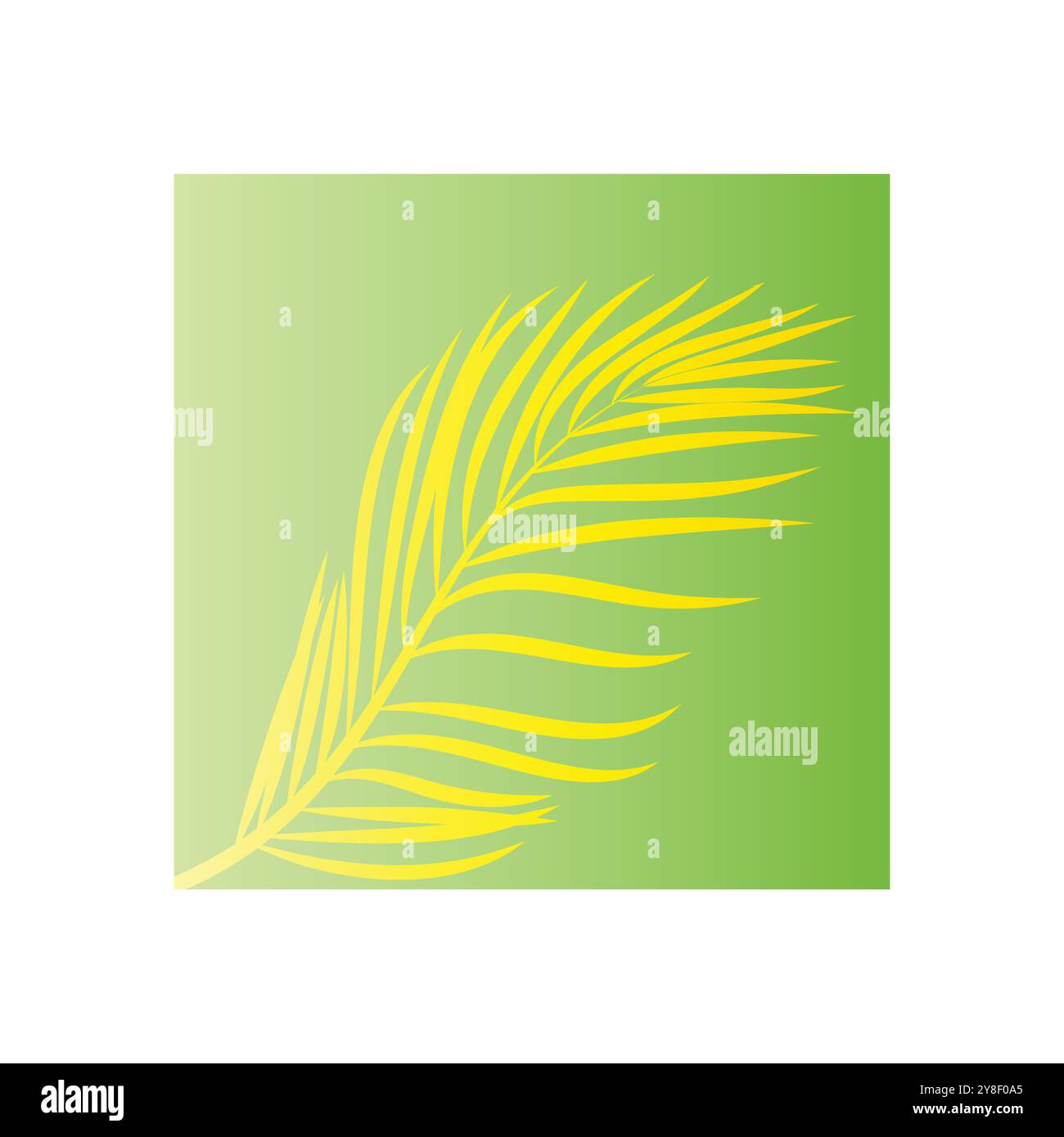 Leaf palm logo vector template symbol and design Stock Vector
