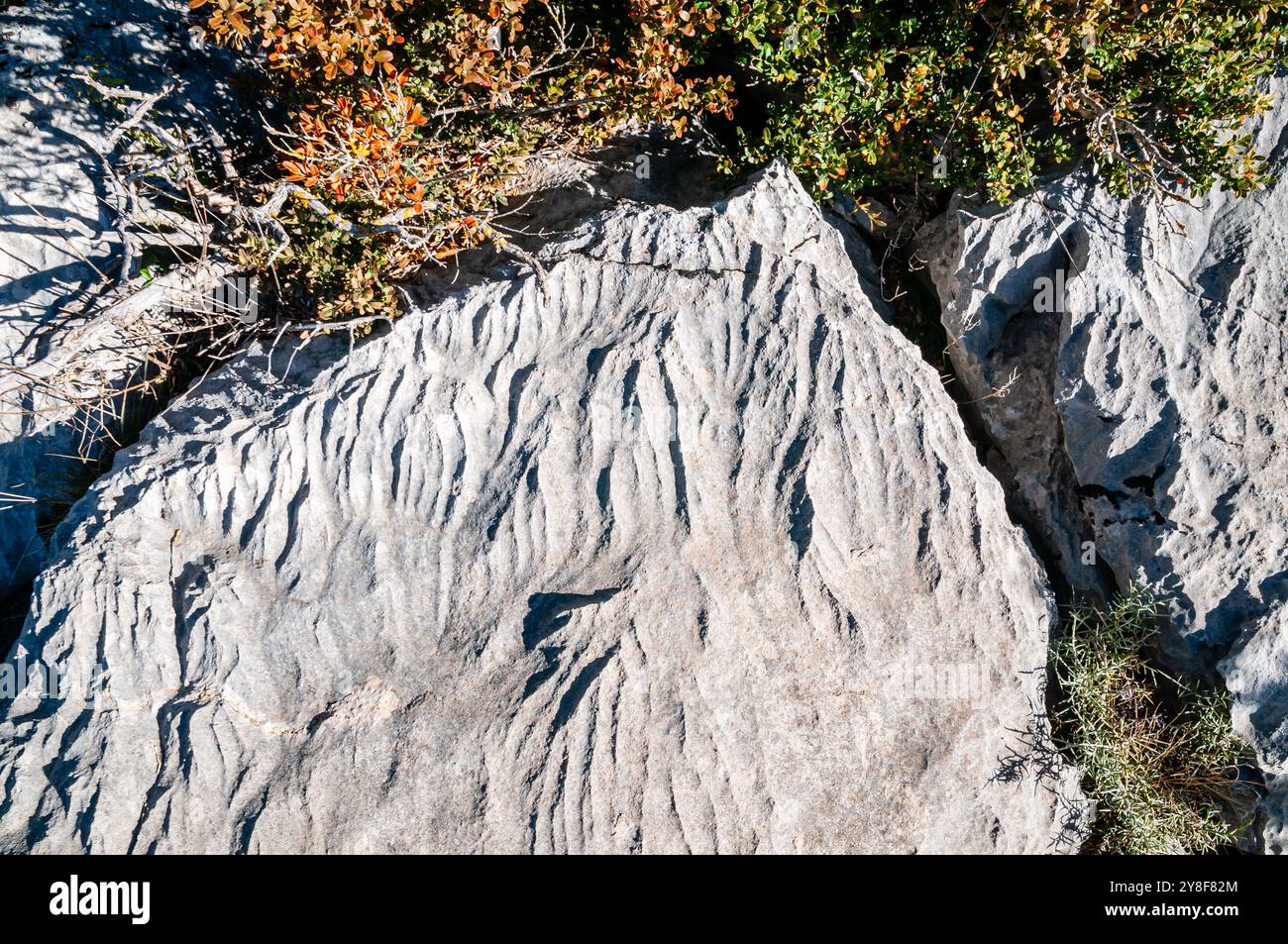 Refinement Marks On Rocks erosion marks on the rock, Boumort, Catalonia, Spain Stock Photo - Alamy