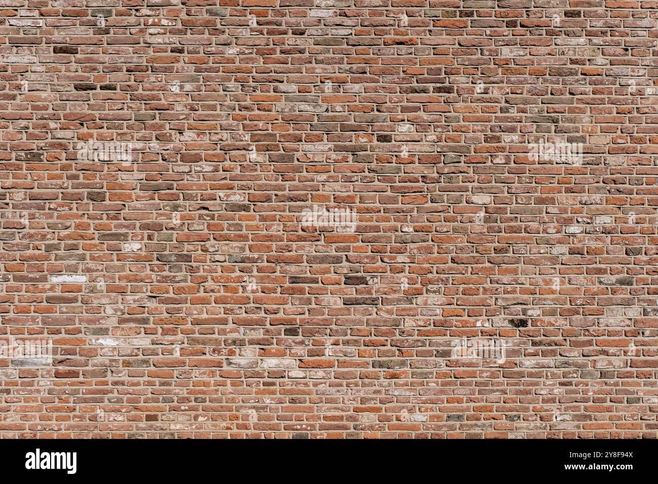 brick wall for background use Stock Photo