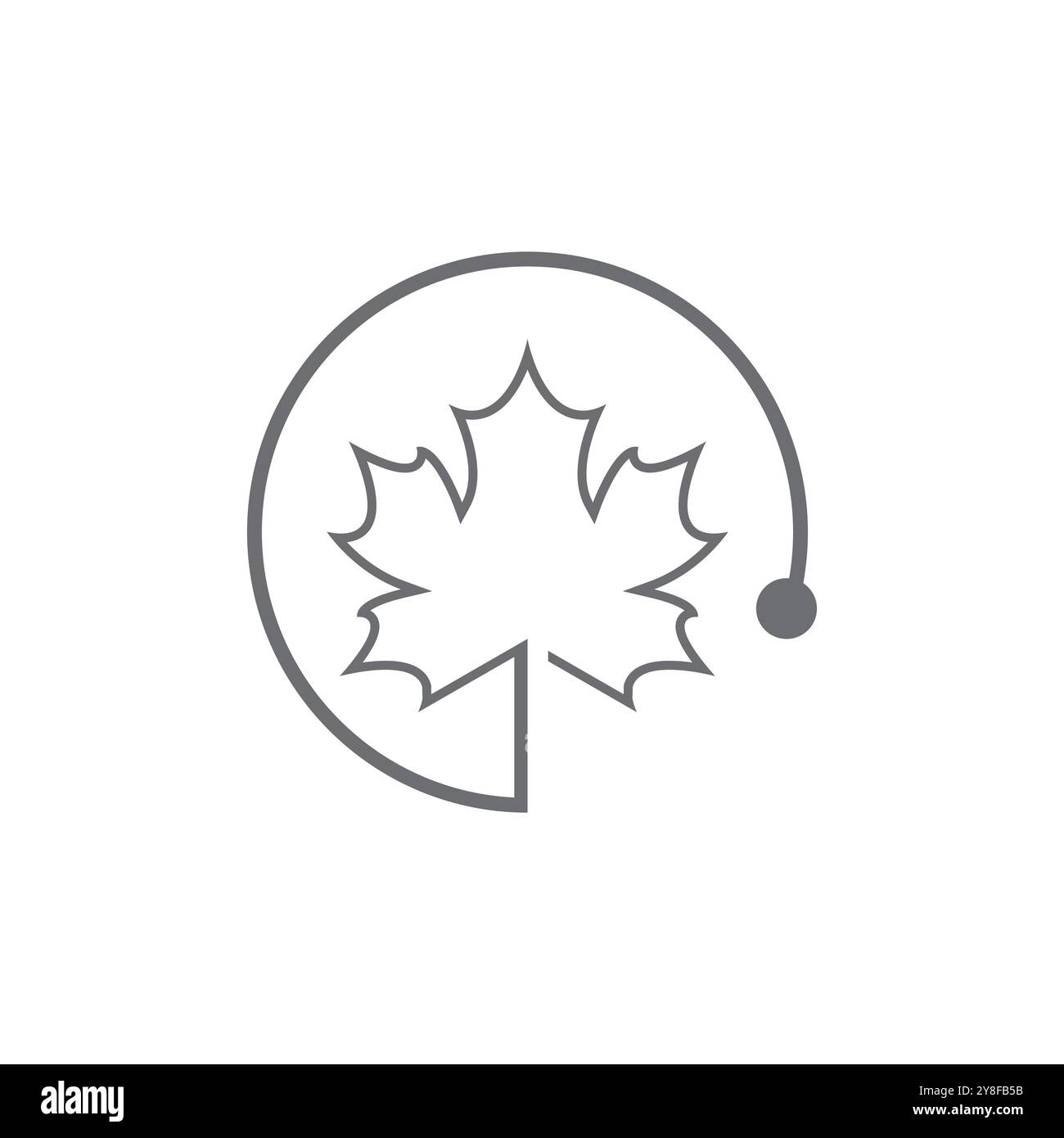 Maple leaf vector illustration design template Stock Vector