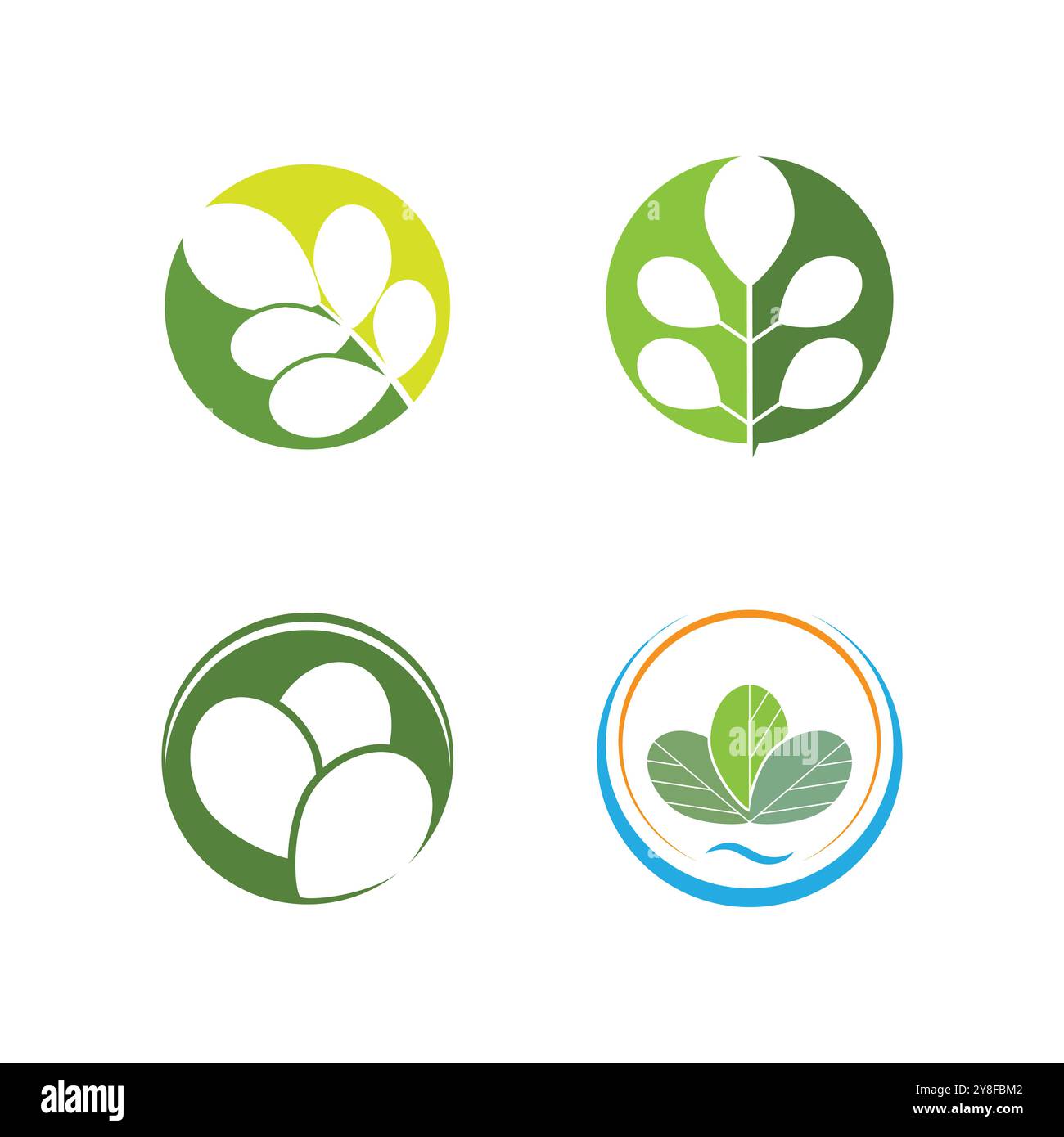 Moringa Leaf Logo Template Vector Symbol Nature Stock Vector