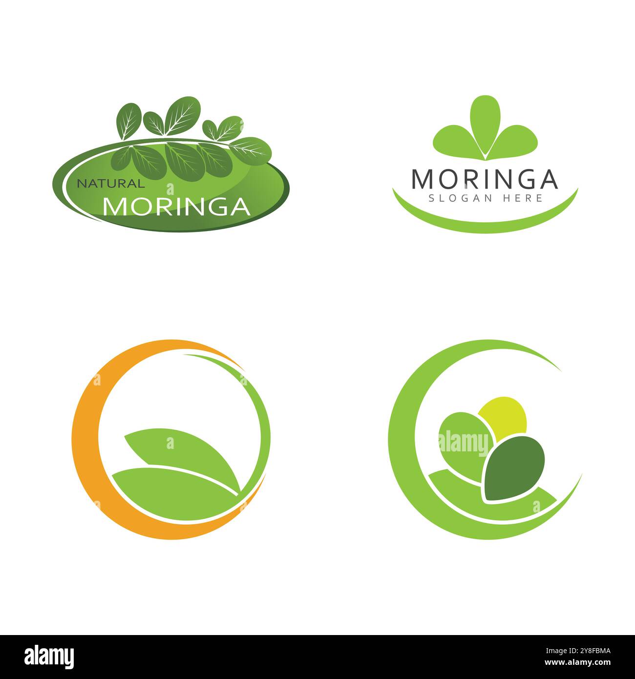 Moringa Leaf Logo Template Vector Symbol Nature Stock Vector