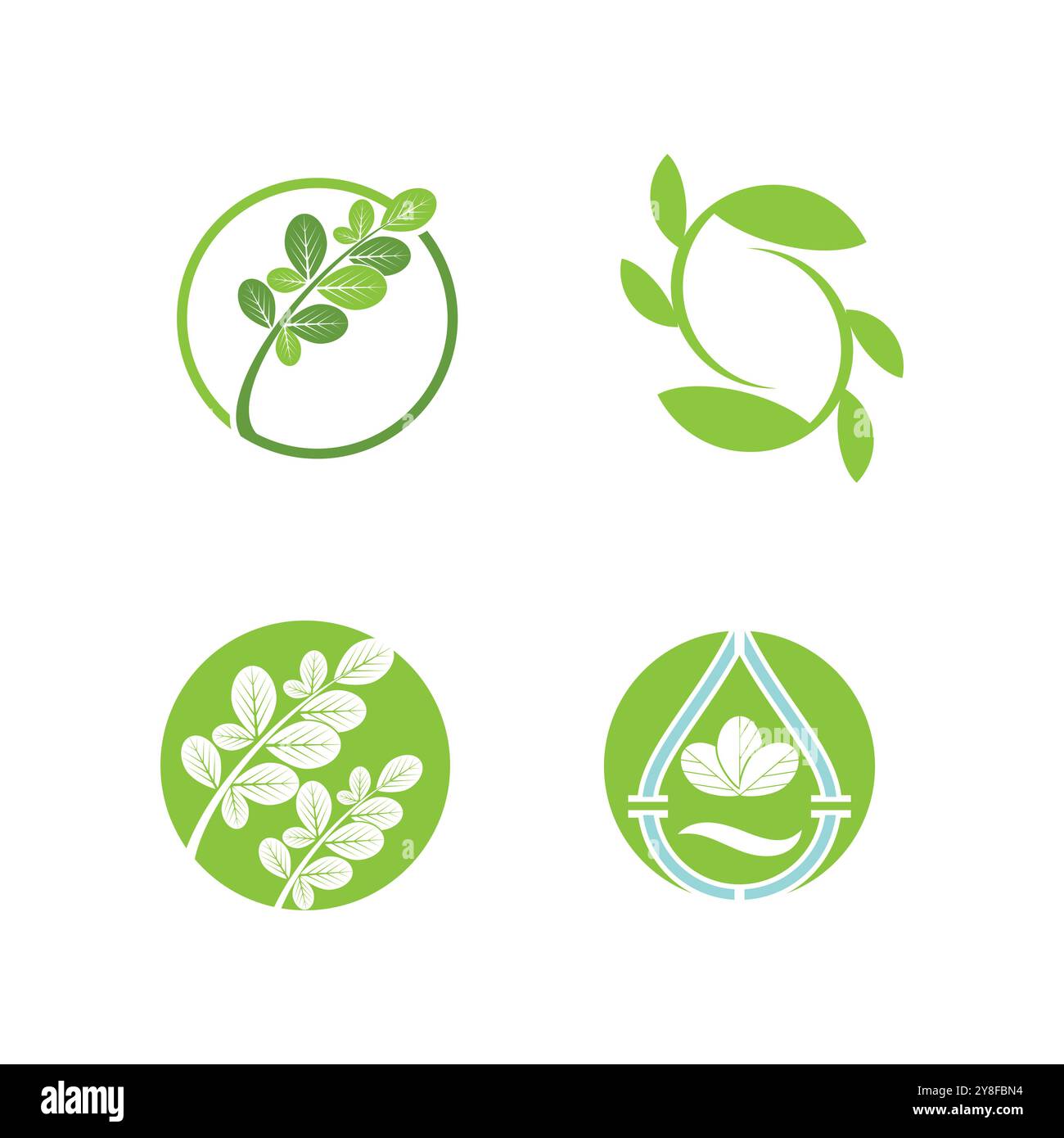 Moringa Leaf Logo Template Vector Symbol Nature Stock Vector