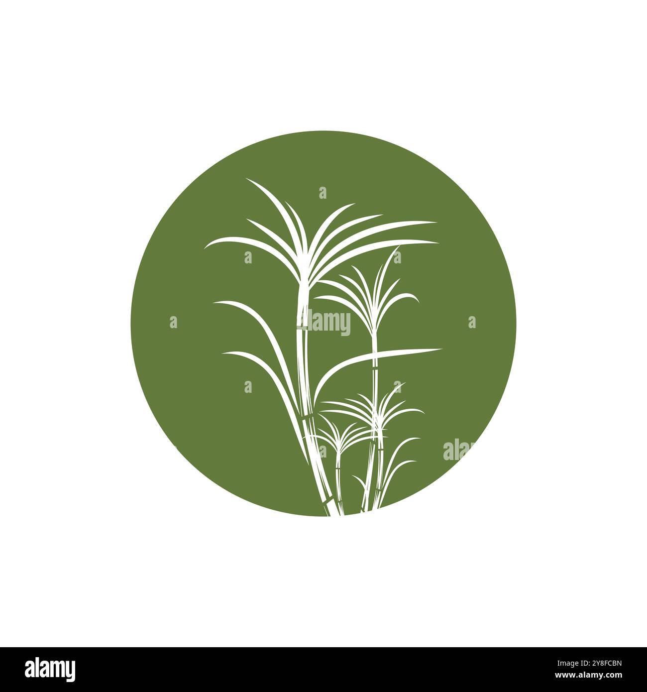 Sugar cane Logo Template vector symbol nature Stock Vector