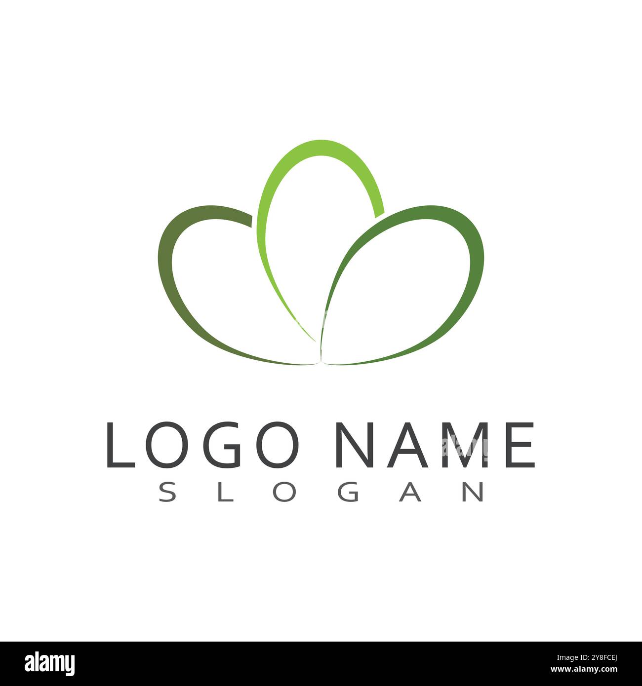 Moringa Leaf Logo Template Vector Symbol Nature Stock Vector