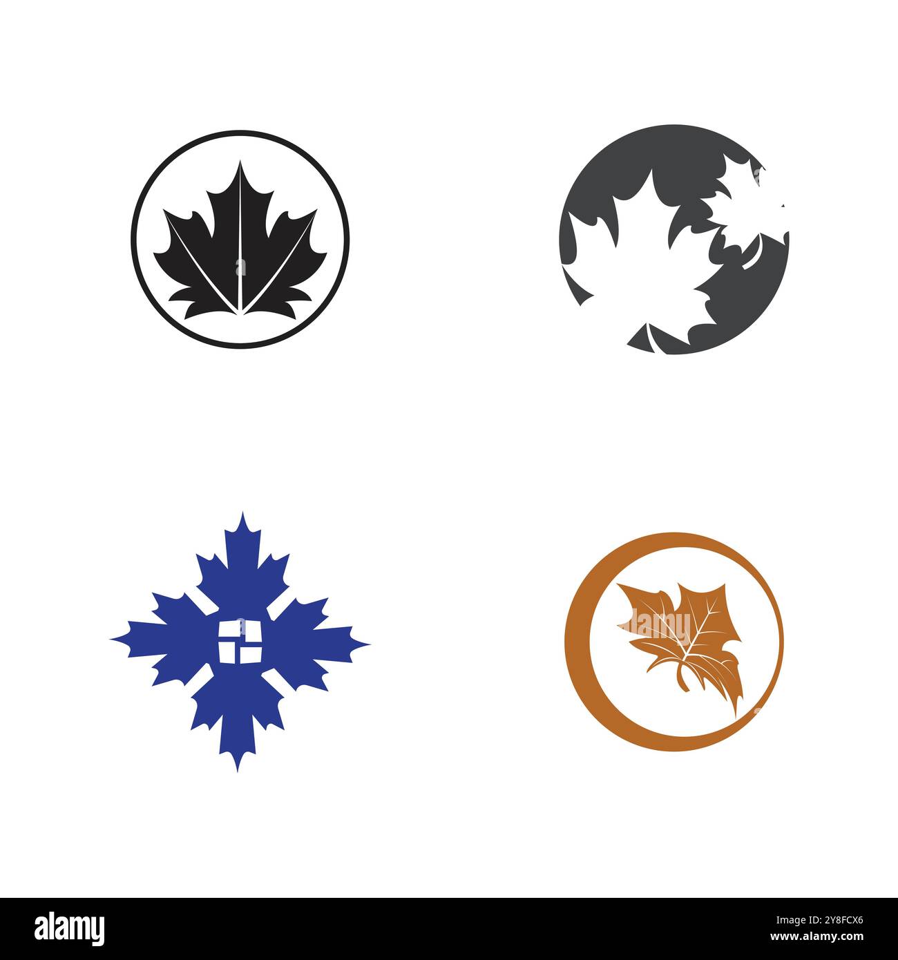 Maple leaf vector illustration design template Stock Vector