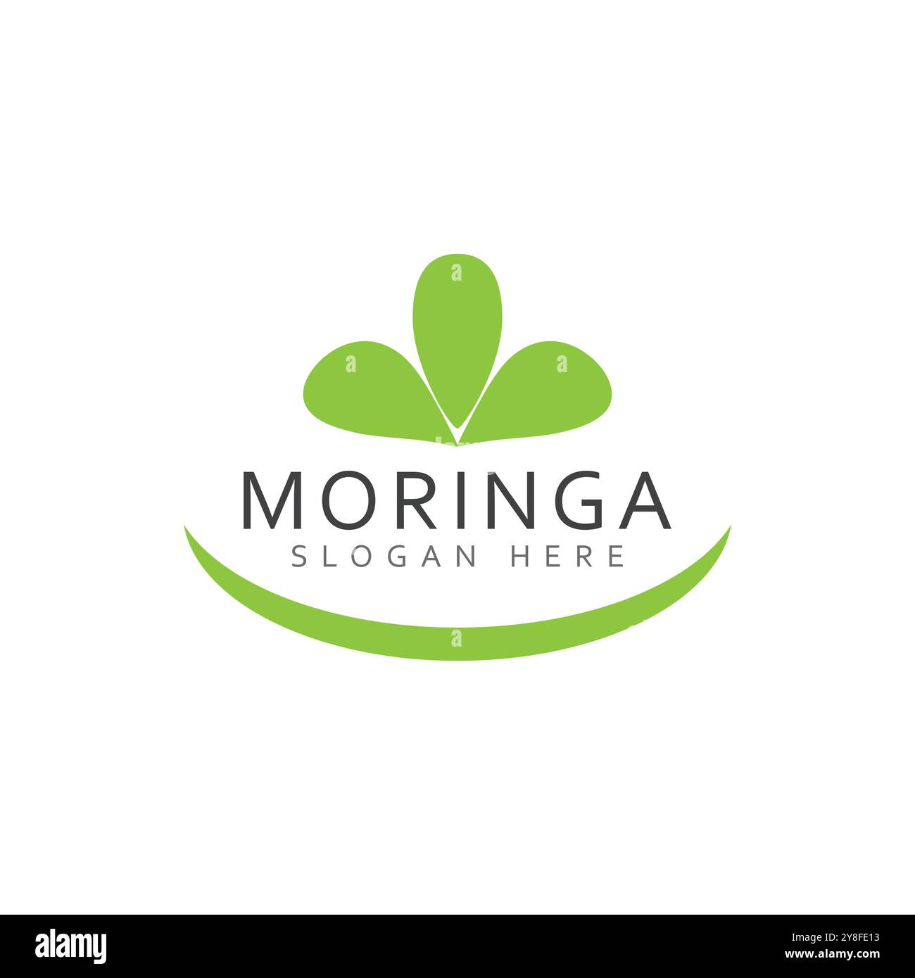 Moringa Leaf Logo Template Vector Symbol Nature Stock Vector