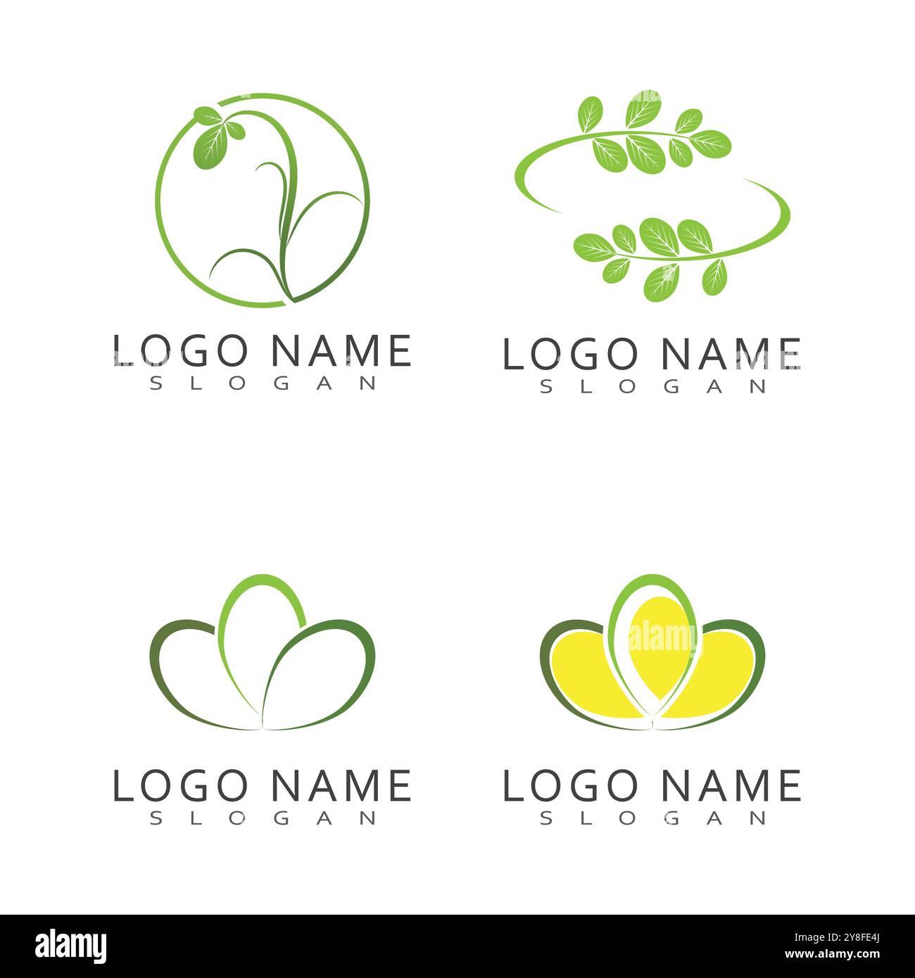 Moringa Leaf Logo Template Vector Symbol Nature Stock Vector
