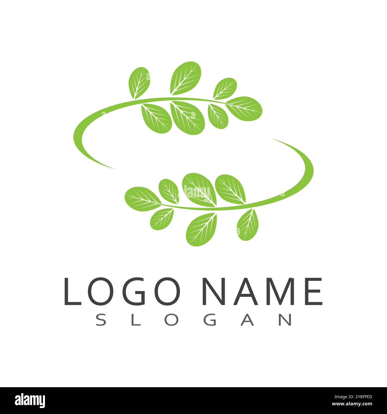 Moringa Leaf Logo Template Vector Symbol Nature Stock Vector