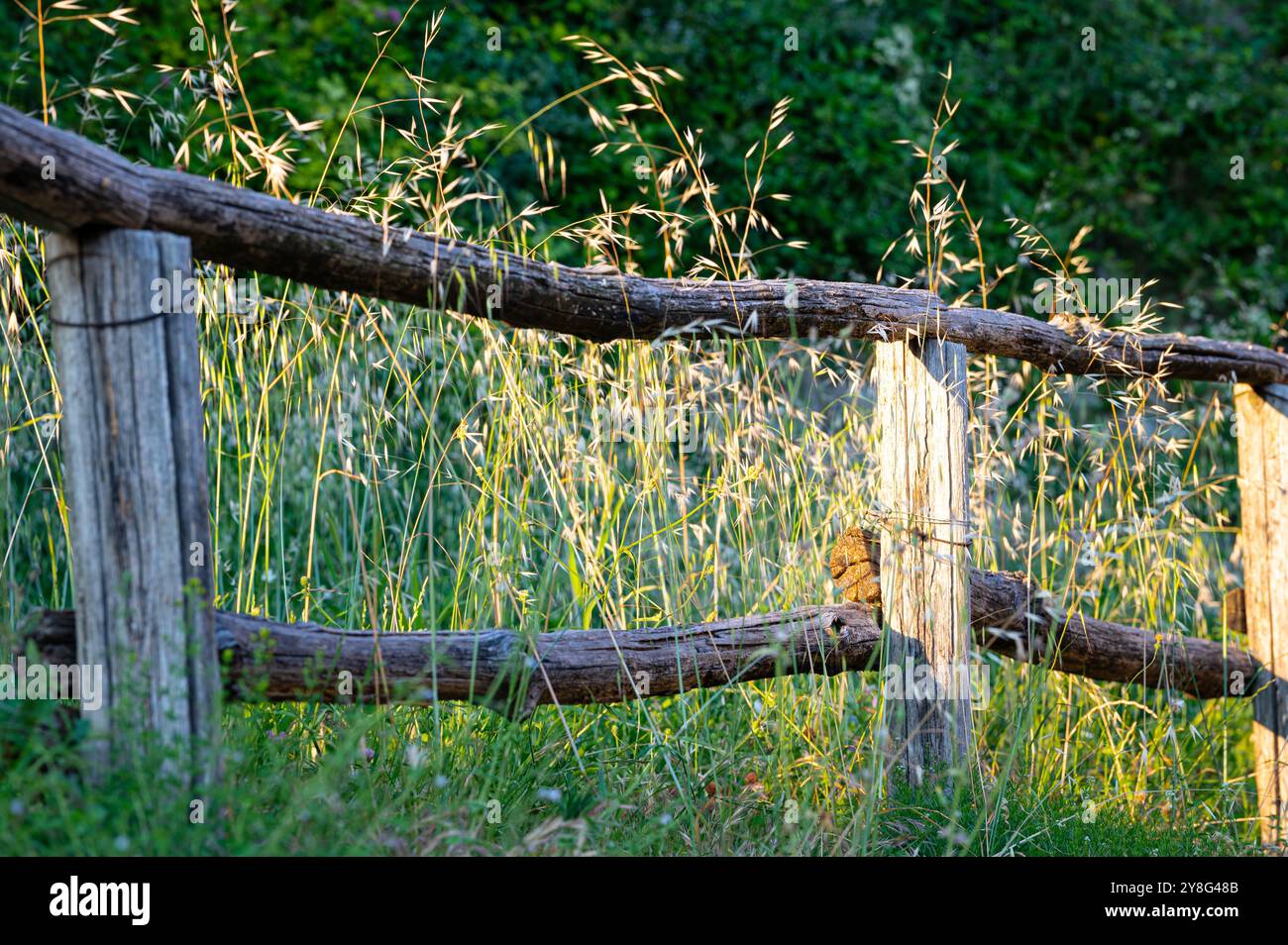 Wooden simple rural no hi-res stock photography and images - Alamy