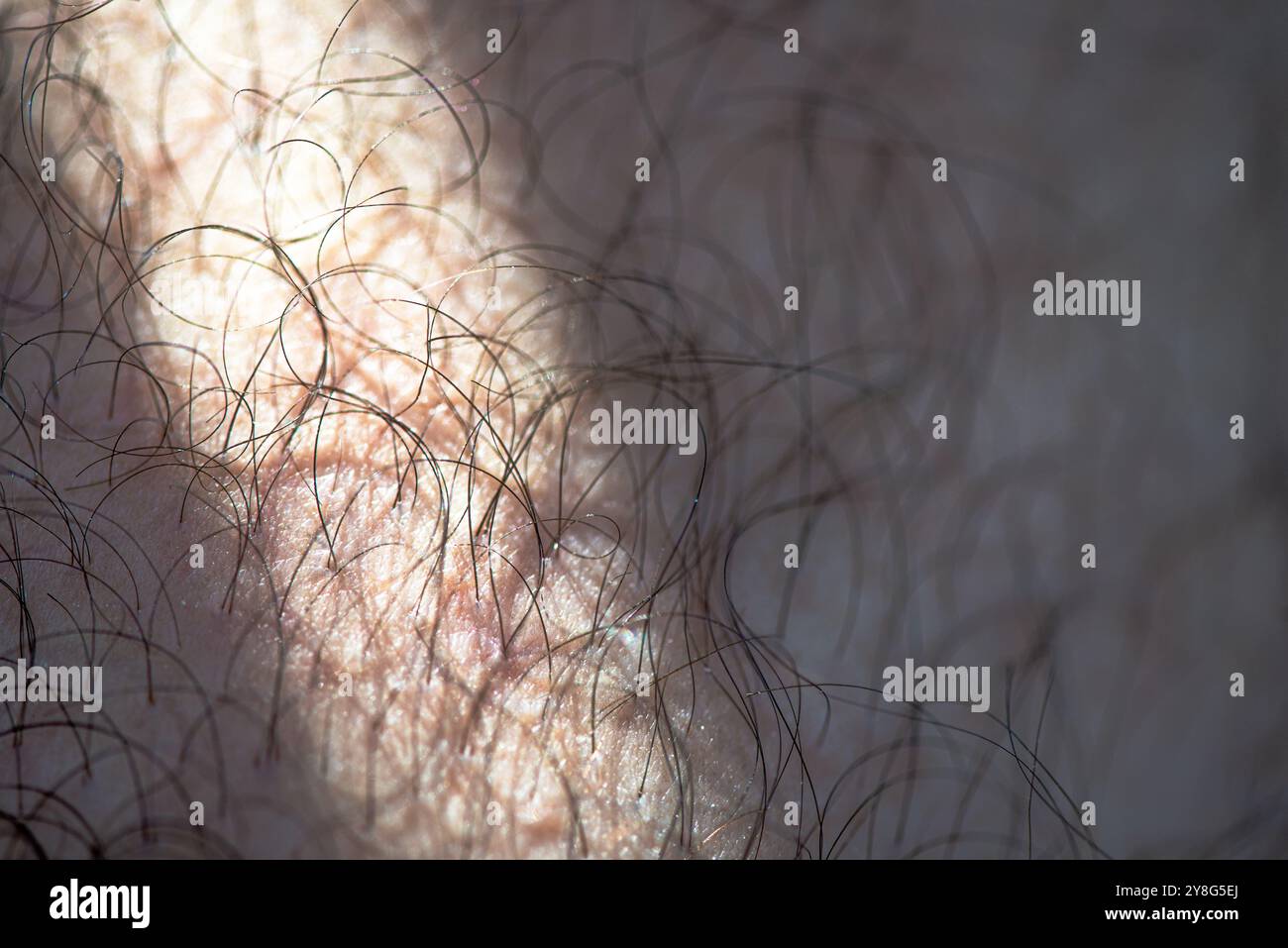 A close-up macro shot highlighting the fine hairs and texture of a man's skin on his leg, showcasing natural details and patterns. Stock Photo