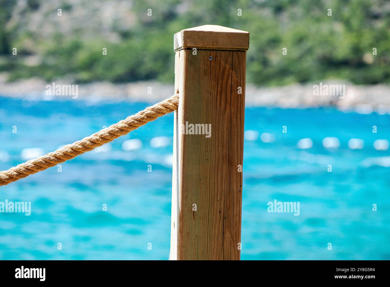 Natural artistry of marine life hi-res stock photography and images - Alamy