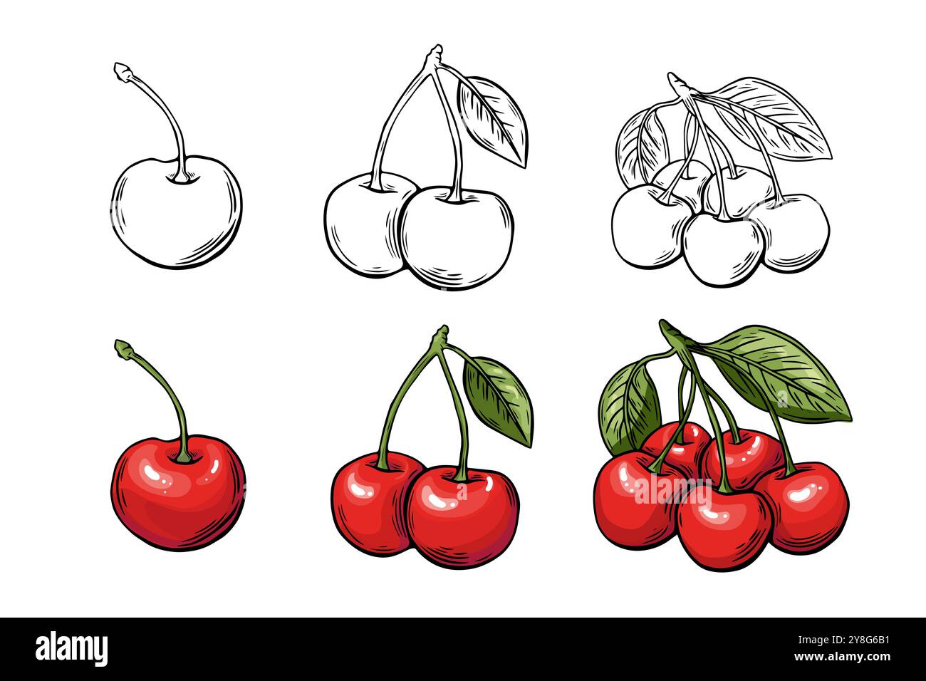 Cherry berry sketch set, engraving. black and white . Fruit vector isolated on white background Stock Vector