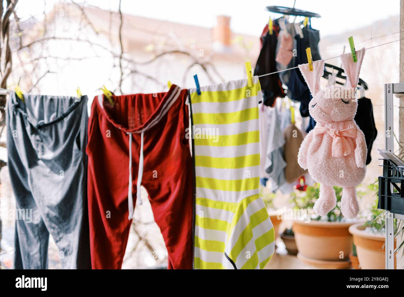 Pink toy rabbit is drying on a rope, along with clothes on the balcony ...