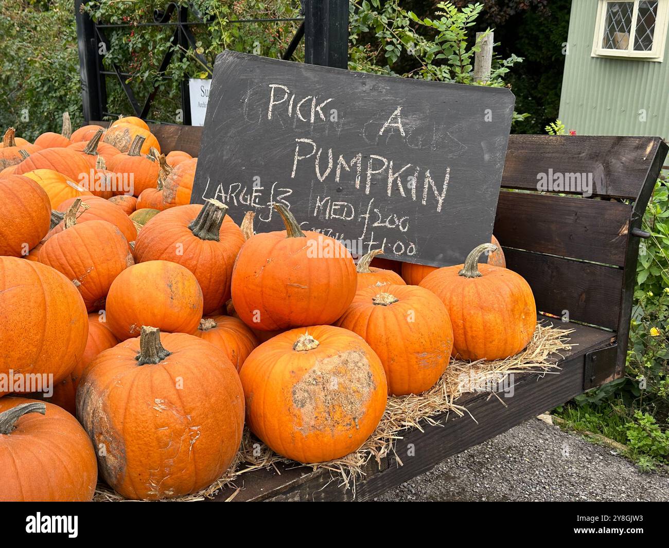Crystal Palace train station interior, built for the great exhibition of 1851 when it moved to its new location. - Smartphone Captured Stock Image
