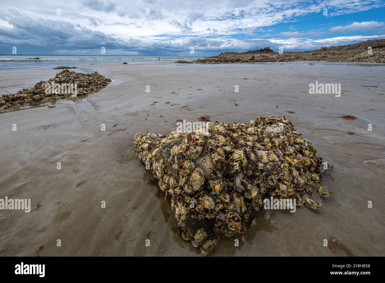 Rock Formations at the Plage de Caroual in Brittany, France Stock Photo ...