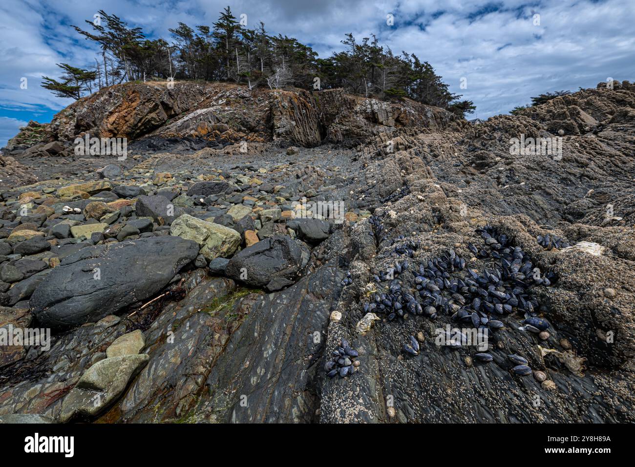Rock Formations at the Plage de Caroual in Brittany, France Stock Photo ...