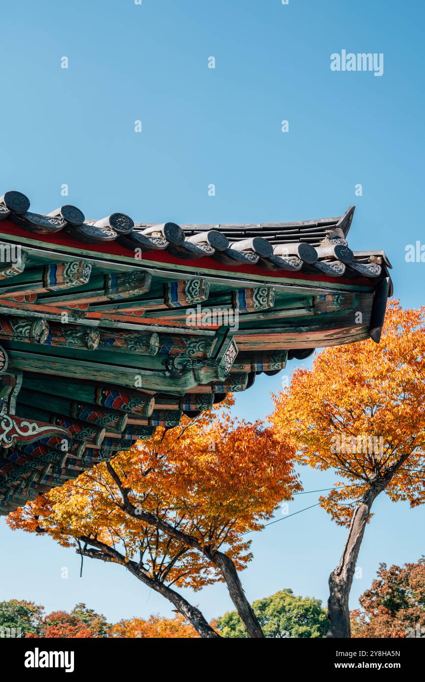 Traditional roof eaves with autumn leaves at Jinjuseong Fortress in ...