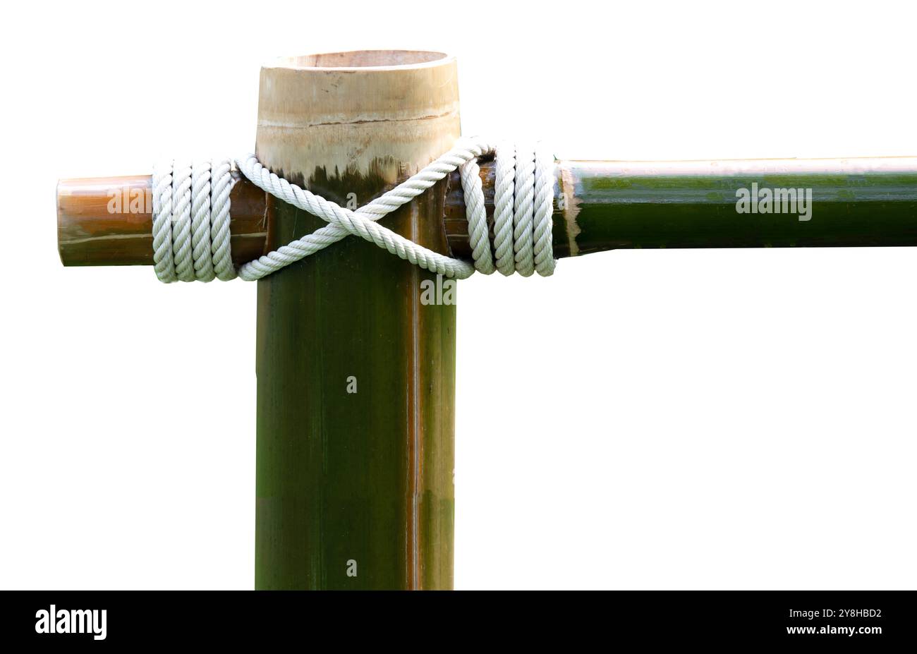 Layers of rope tied around a bamboo log isolated on white background ...