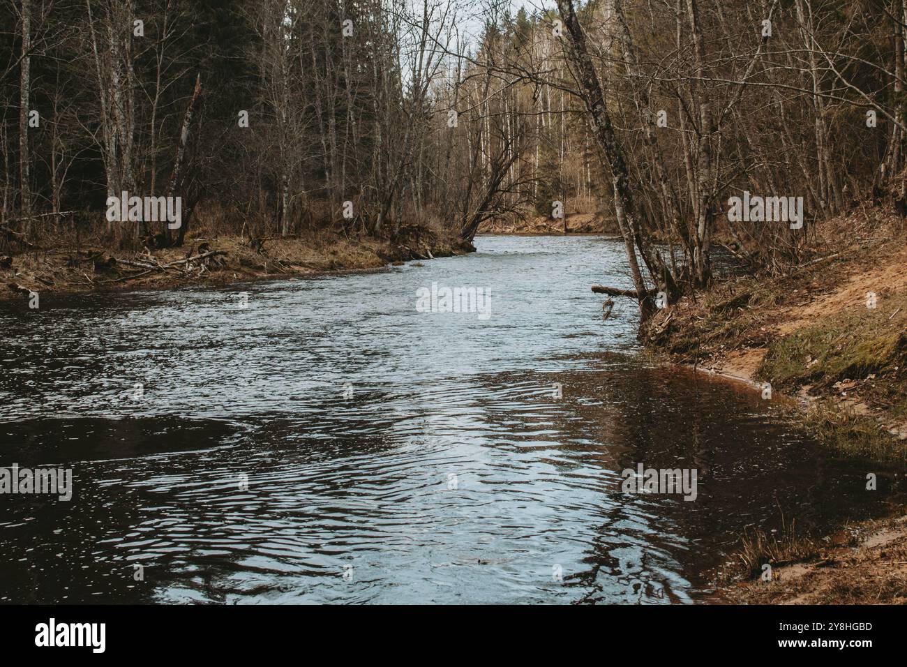 Brasla Brasla see hi-res stock photography and images - Alamy
