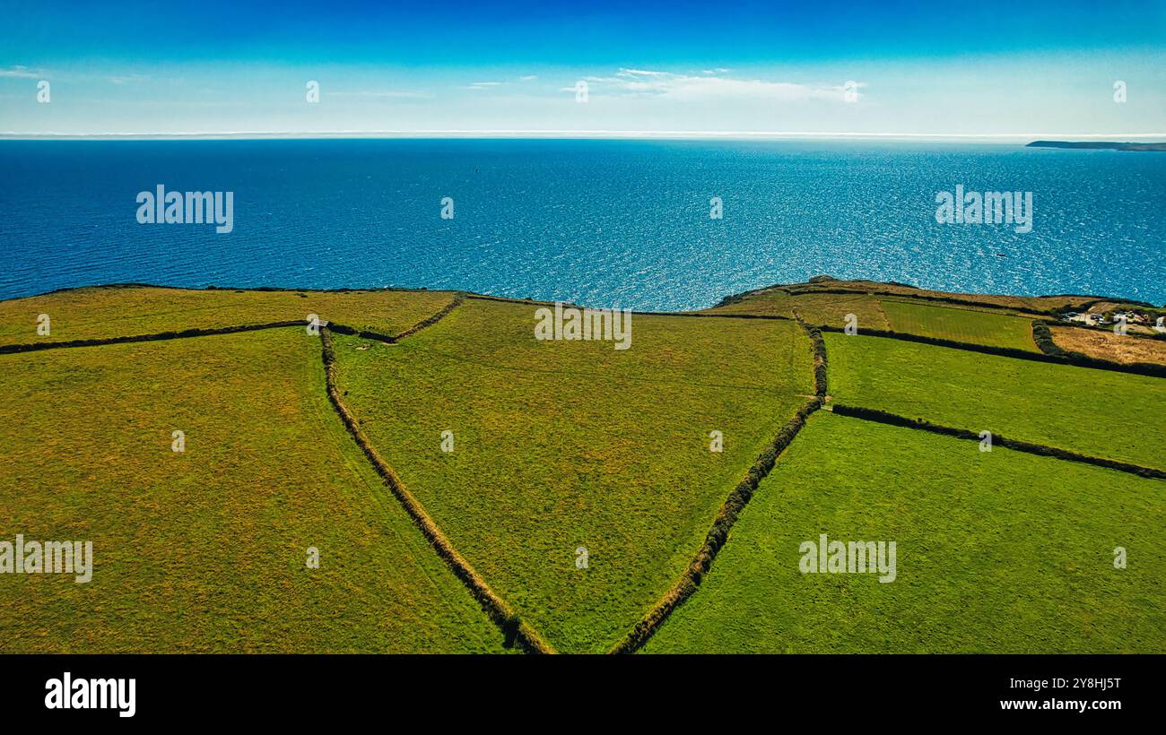 Aerial view of lush green fields meeting the blue ocean under a clear ...