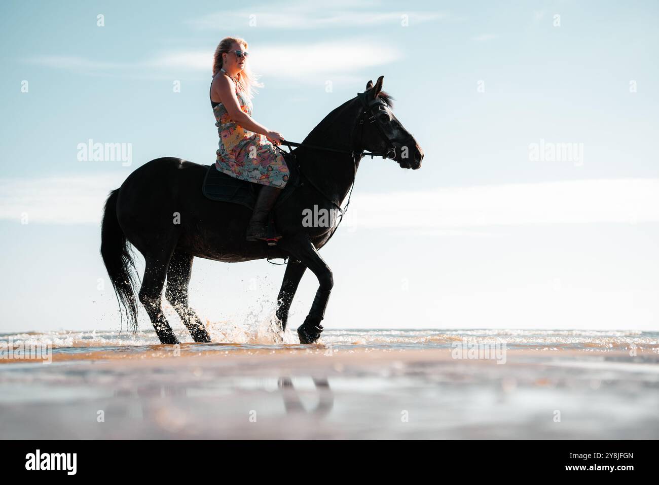 Horse riding on a beach, beautiful woman on horseback Stock Photo - Alamy