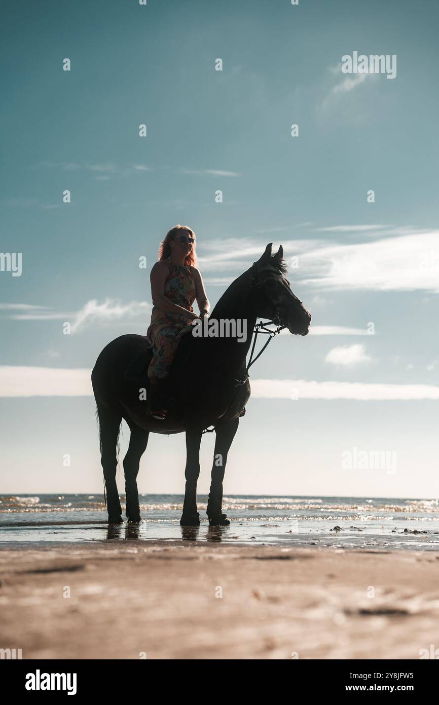 Horse riding on a beach, beautiful woman on horseback Stock Photo - Alamy
