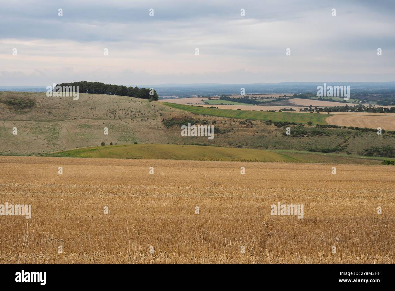 View from the Ridgeway over Devils Punchbowl, Vale of White Horse, Oxfordshire Stock Photo