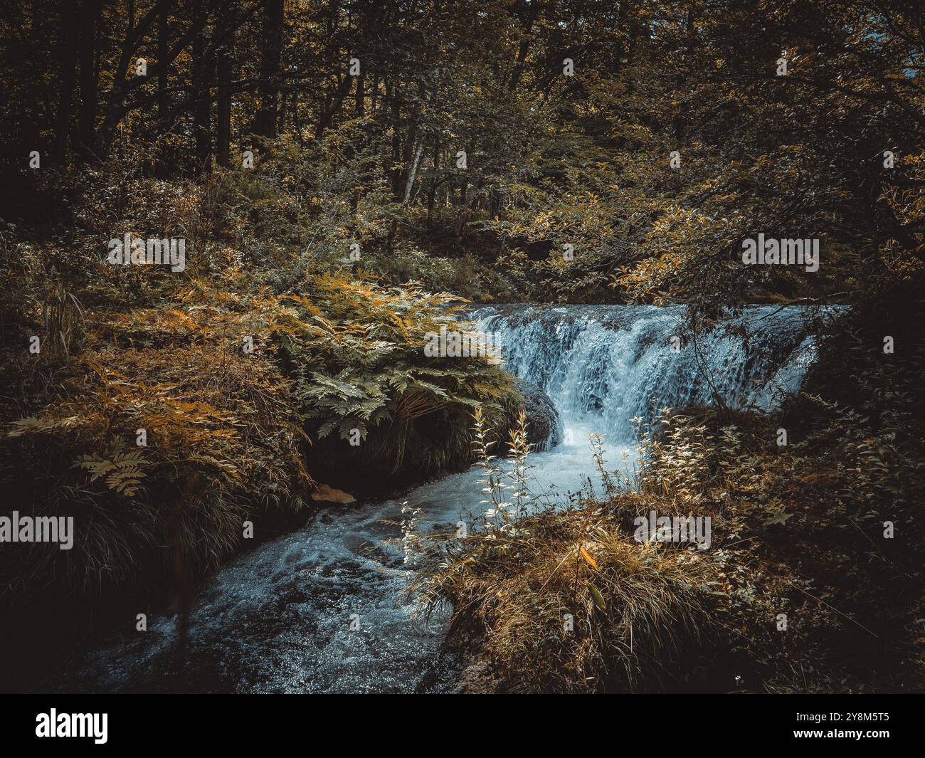 Peaceful river with small waterfall upstream from Ryuzu Falls, Nikko ...