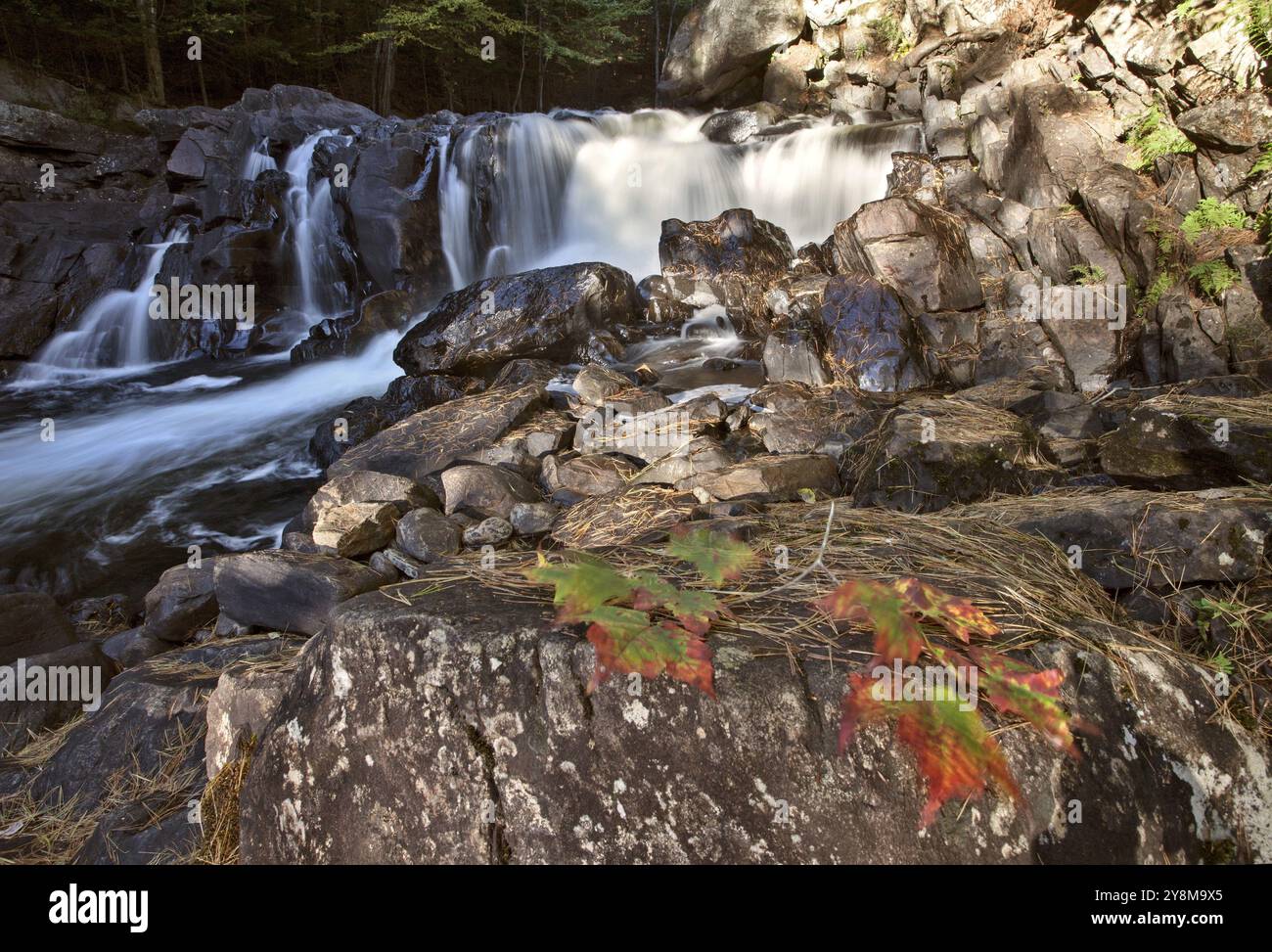 Algonquin Park Muskoka Ontario fall autumn colors Stock Photo Alamy