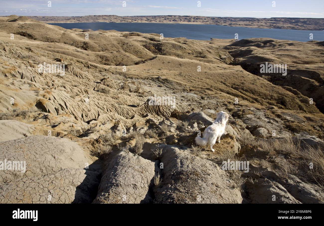 Sand Castles of Diefenbaker Lake Saskatchewan Badlands Stock Photo