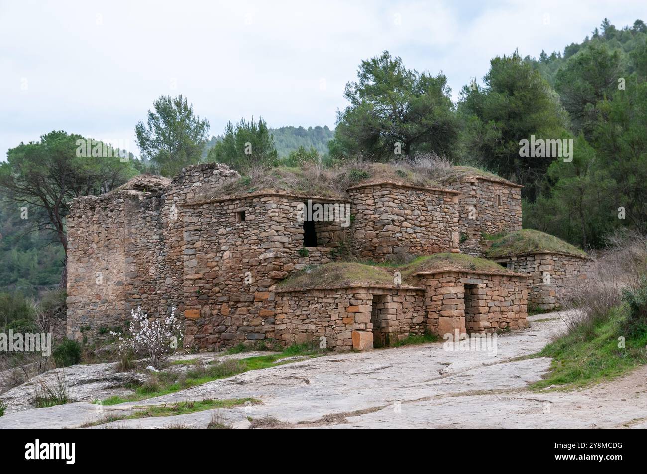 Solanes hi-res stock photography and images - Alamy