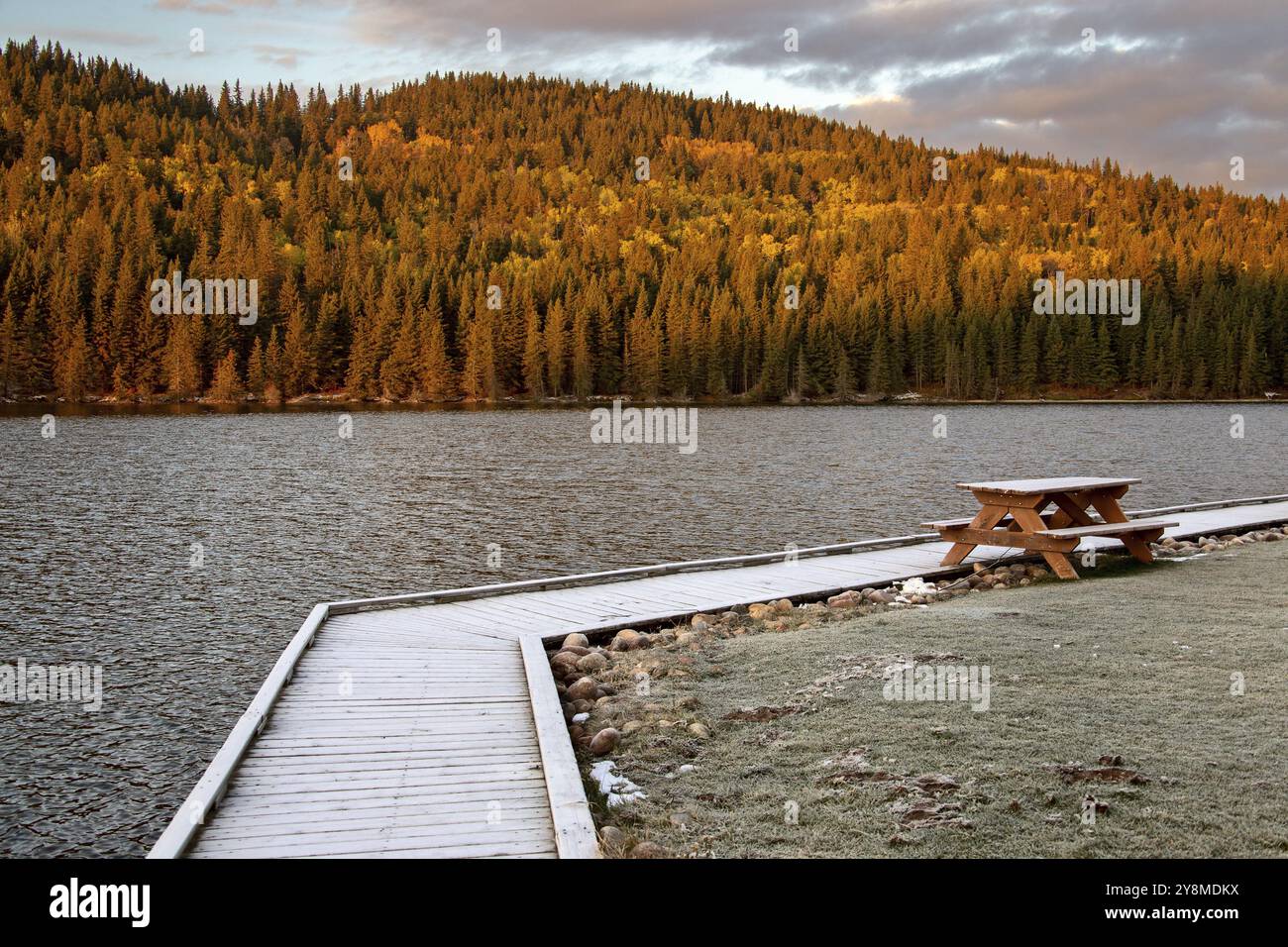 Cypress Hills First Snowfall Alberta Saskatchewan Canada Stock Photo