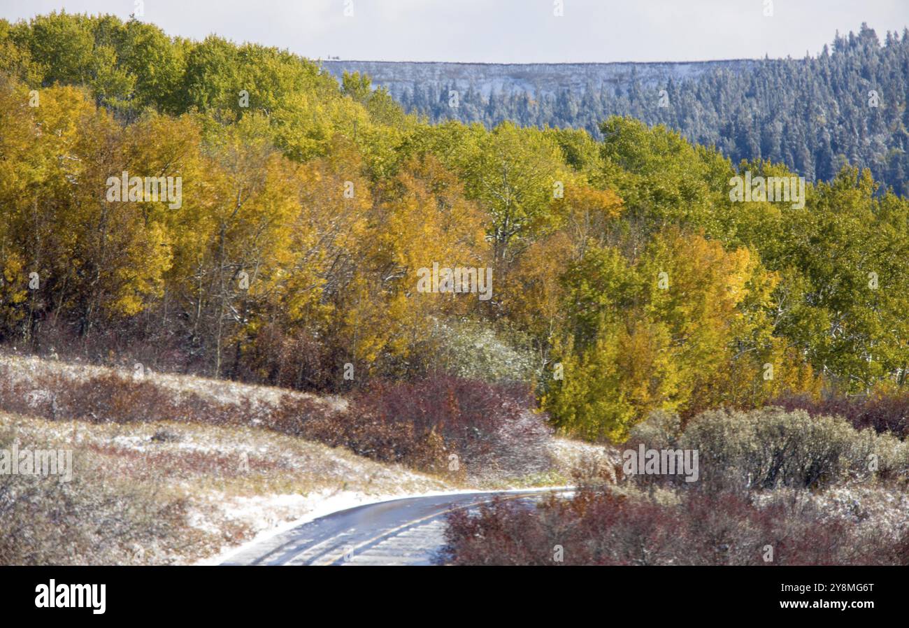 Cypress Hills First Snowfall Alberta Saskatchewan Canada Stock Photo