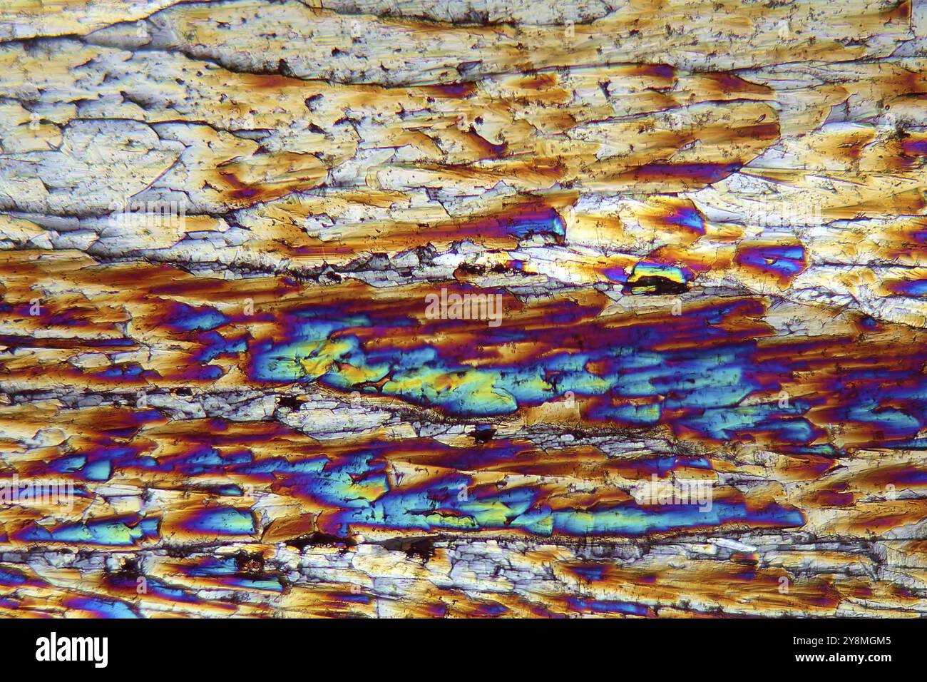 Copper sulphate under the microscope, at 80x magnification and in polarised light. Copper sulphate is used in many areas of medicine, agriculture, ind Stock Photo