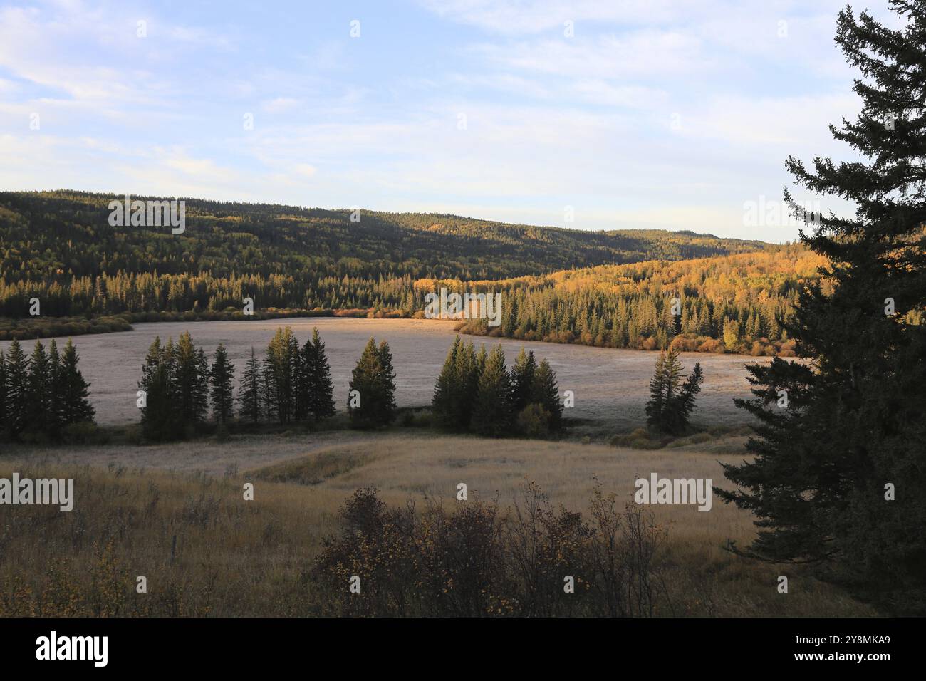 Autumn Colors Cypress Hills Canada interprovincial Park Stock Photo